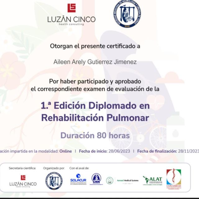 Ampliar imagen: certificate 4