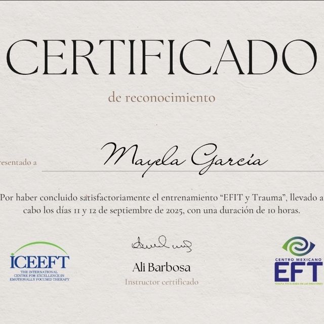 Ampliar imagen: certificate 5