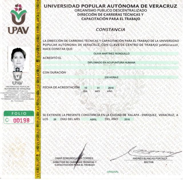 Ampliar imagen: certificate 7