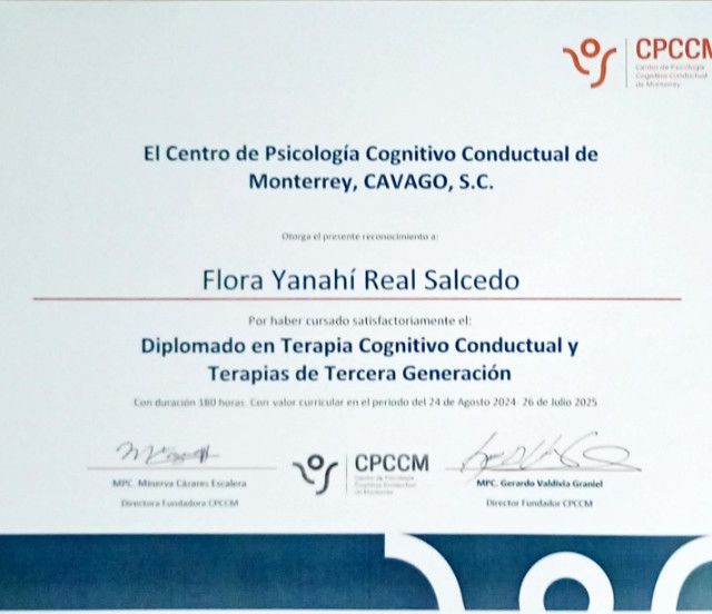 Ampliar imagen: certificate 2