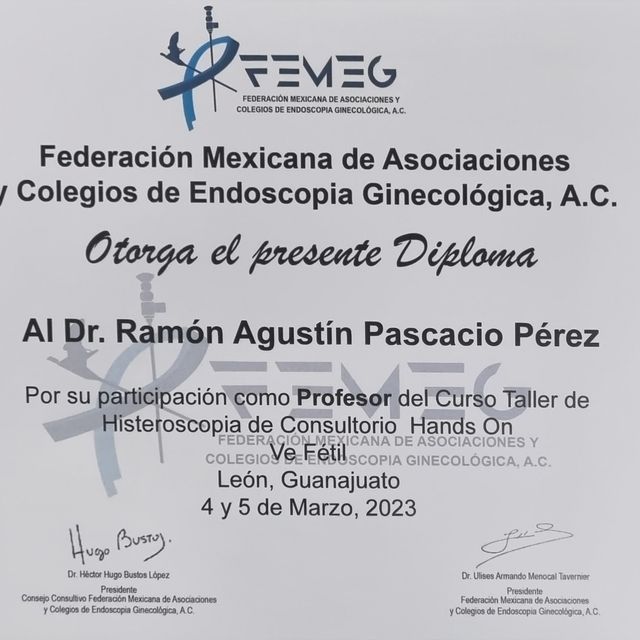 Ampliar imagen: certificate 49