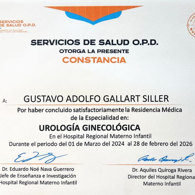 Ampliar imagen: certificate 3