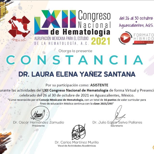 Ampliar imagen: certificate 9