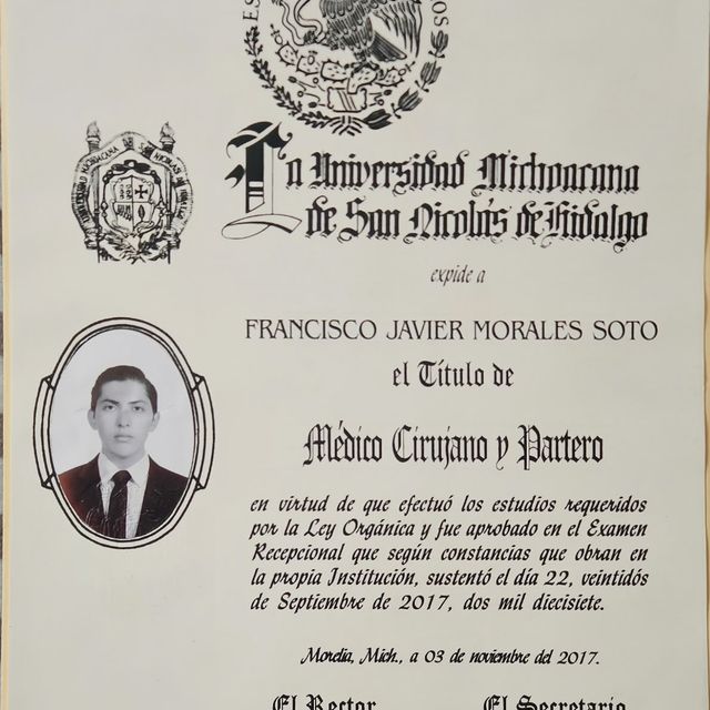Ampliar imagen: certificate 1