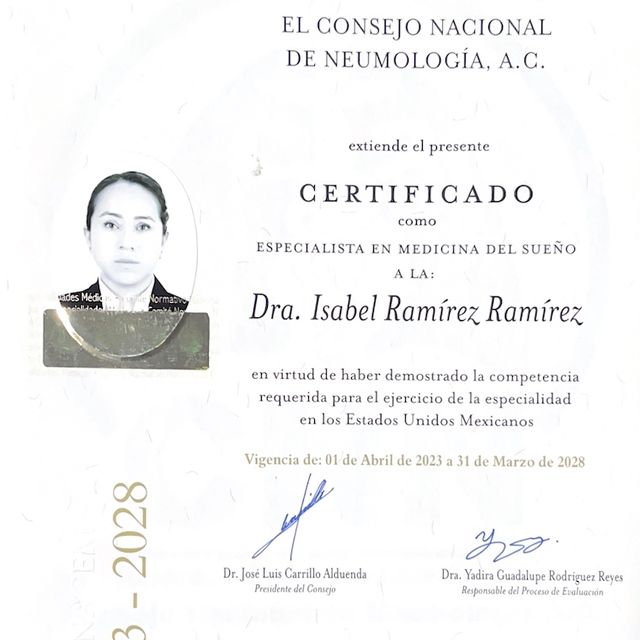 Ampliar imagen: certificate 1
