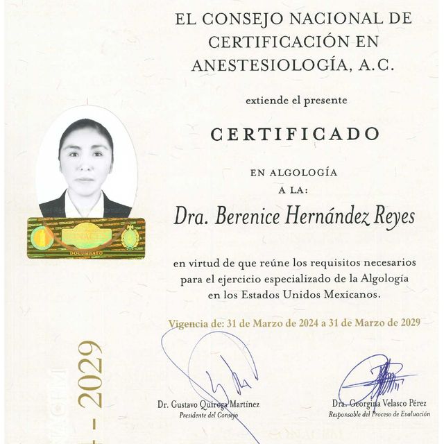 Ampliar imagen: certificate 4