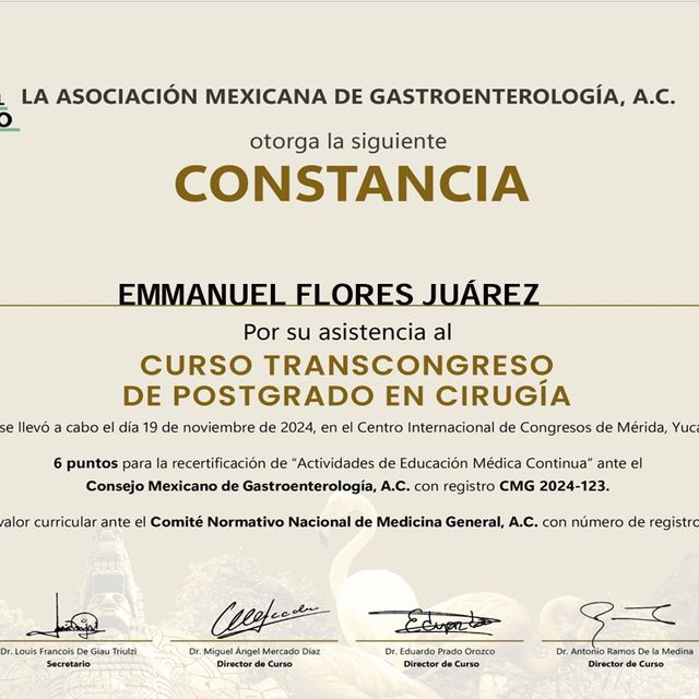 Ampliar imagen: certificate 3