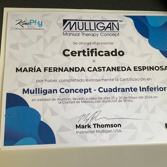Ampliar imagen: certificate 2