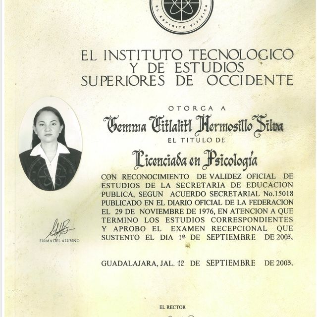 Ampliar imagen: certificate 1