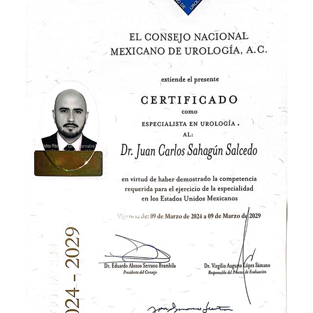 Ampliar imagen: certificate 1