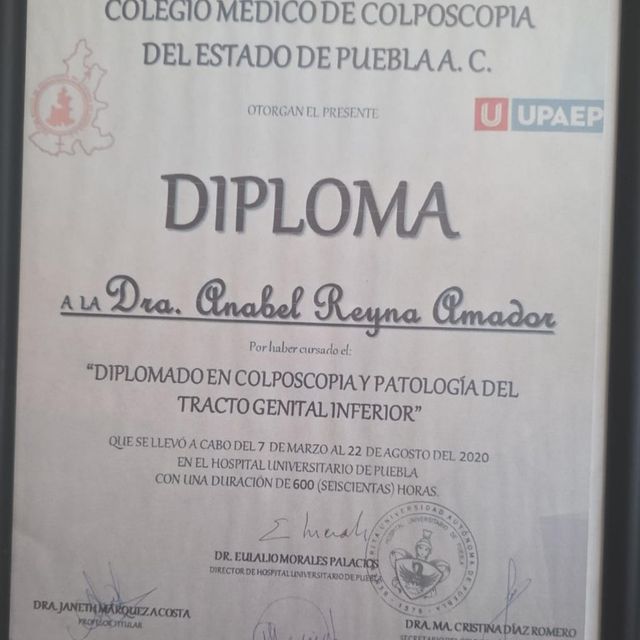 Ampliar imagen: certificate 2