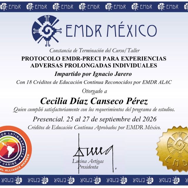 Ampliar imagen: certificate 8