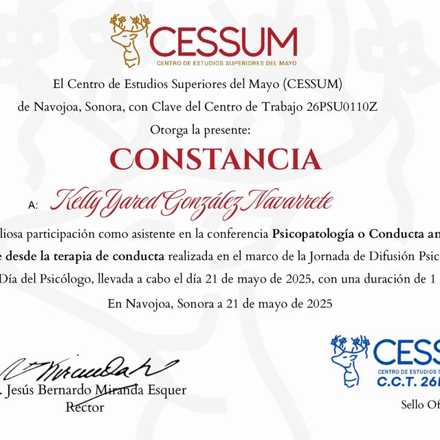 Ampliar imagen: certificate 13