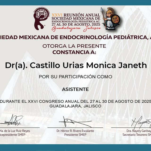 Ampliar imagen: certificate 5