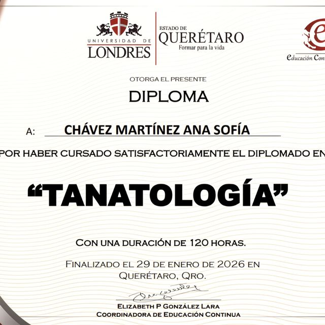 Ampliar imagen: certificate 2