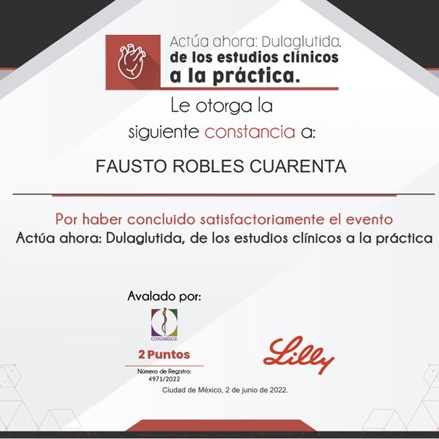 Ampliar imagen: certificate 19