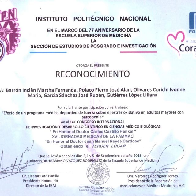 Ampliar imagen: certificate 23