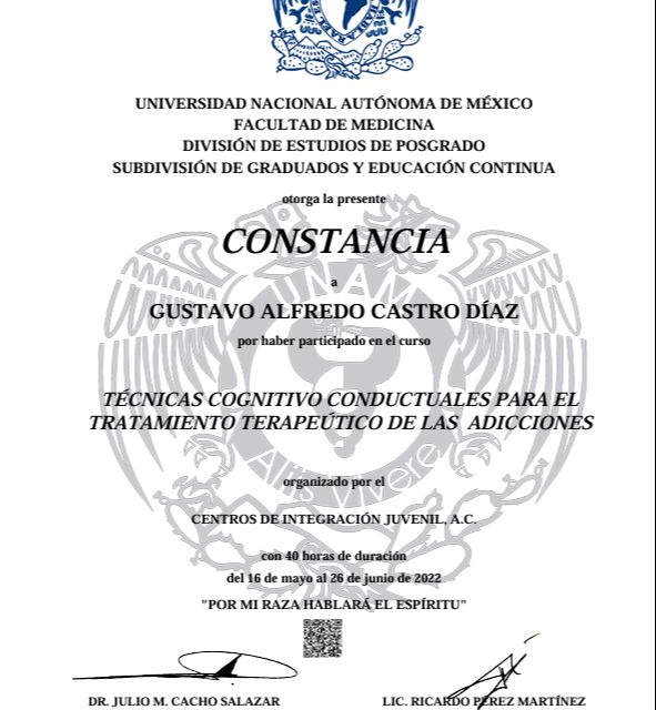 Ampliar imagen: certificate 5