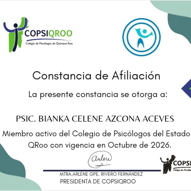 Ampliar imagen: certificate 25