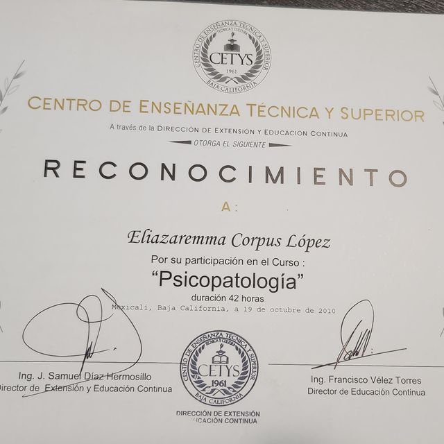 Ampliar imagen: certificate 6