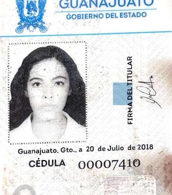 Ampliar imagen: certificate 1