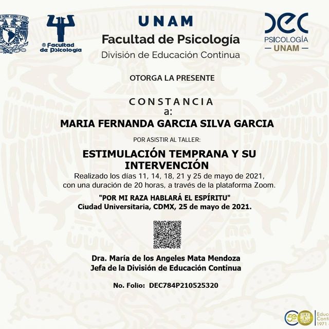Ampliar imagen: certificate 5