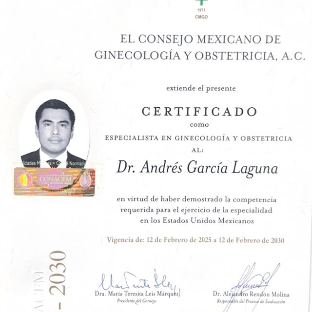 Ampliar imagen: certificate 1