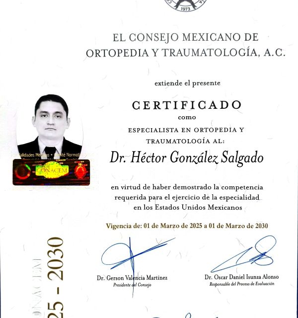 Ampliar imagen: certificate 5