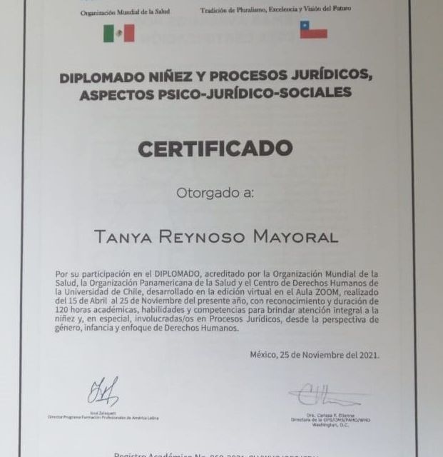 Ampliar imagen: certificate 3