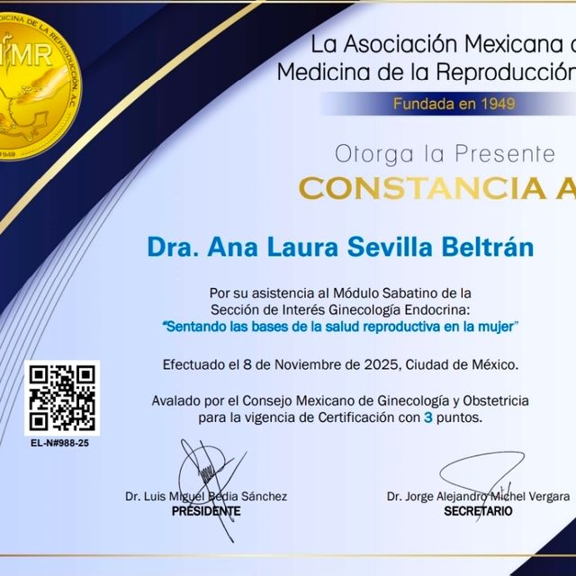Ampliar imagen: certificate 5