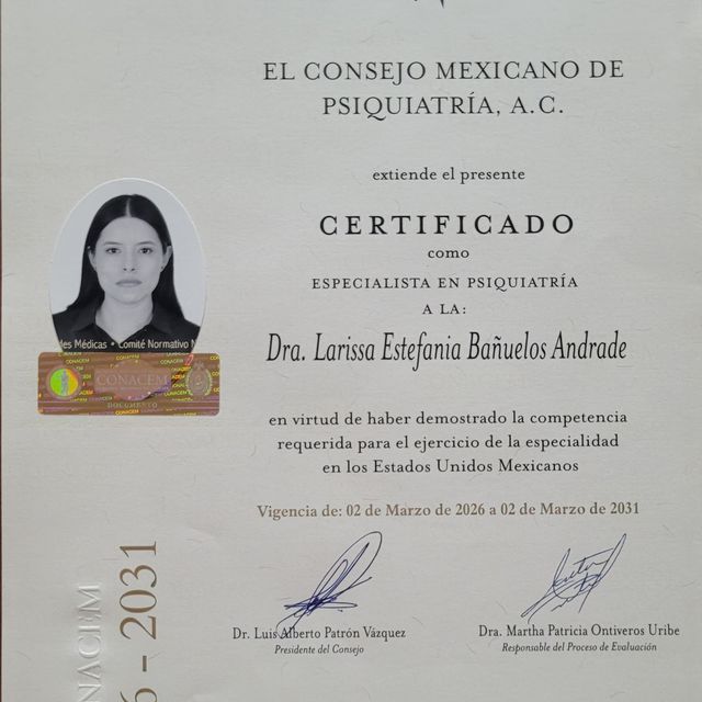 Ampliar imagen: certificate 5