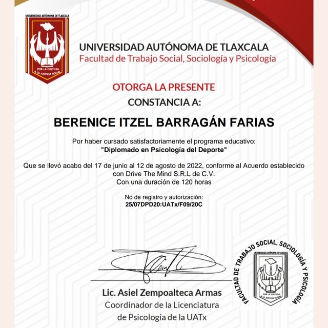 Ampliar imagen: certificate 2