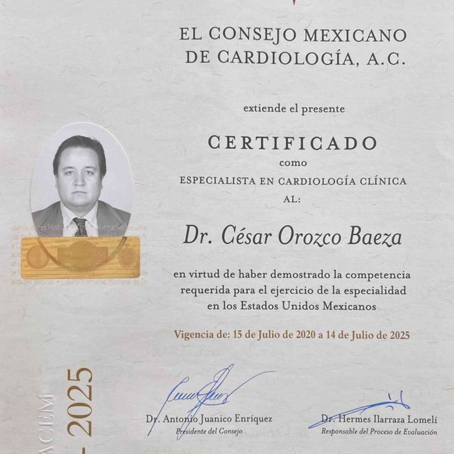 Ampliar imagen: certificate 4
