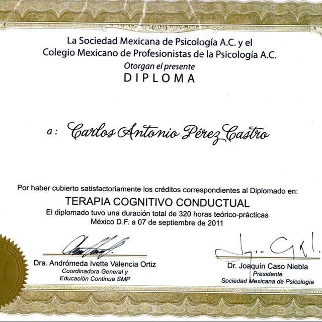 Ampliar imagen: certificate 4