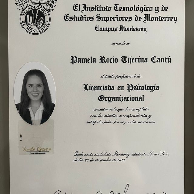 Ampliar imagen: certificate 1