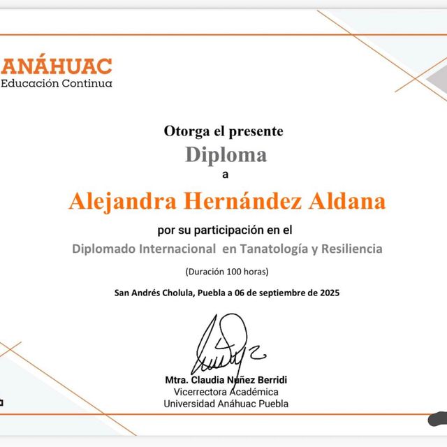 Ampliar imagen: certificate 2