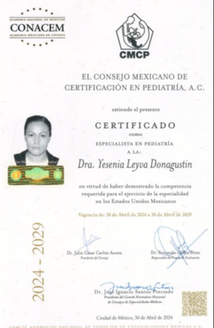 Ampliar imagen: certificate 10