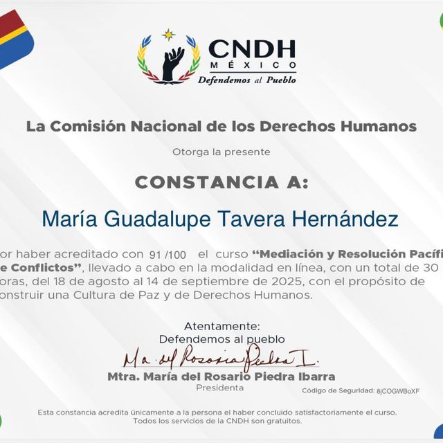 Ampliar imagen: certificate 106