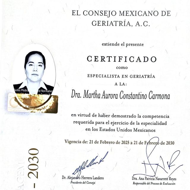 Ampliar imagen: certificate 6