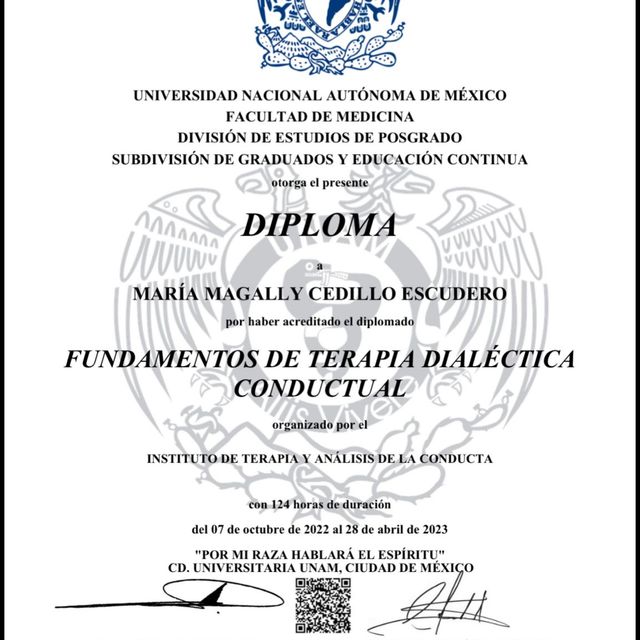 Ampliar imagen: certificate 2