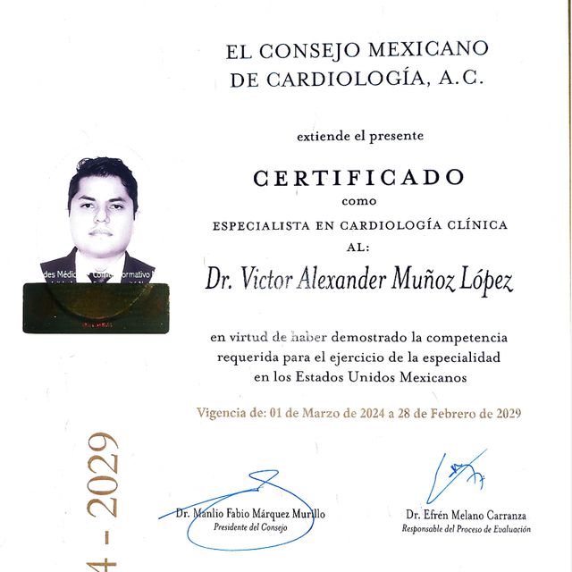 Ampliar imagen: certificate 4