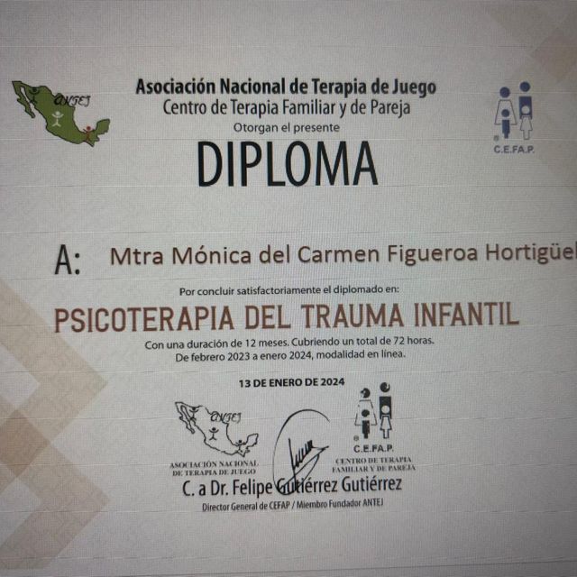 Ampliar imagen: certificate 17