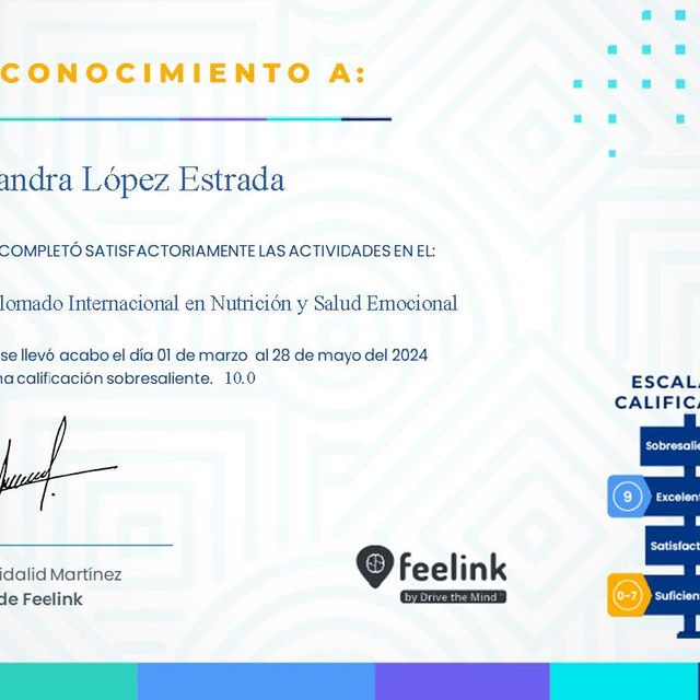 Ampliar imagen: certificate 3