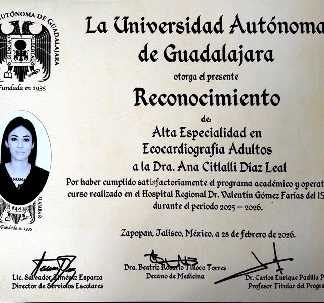Ampliar imagen: certificate 10