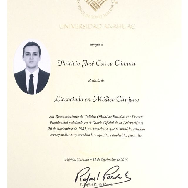 Ampliar imagen: certificate 5