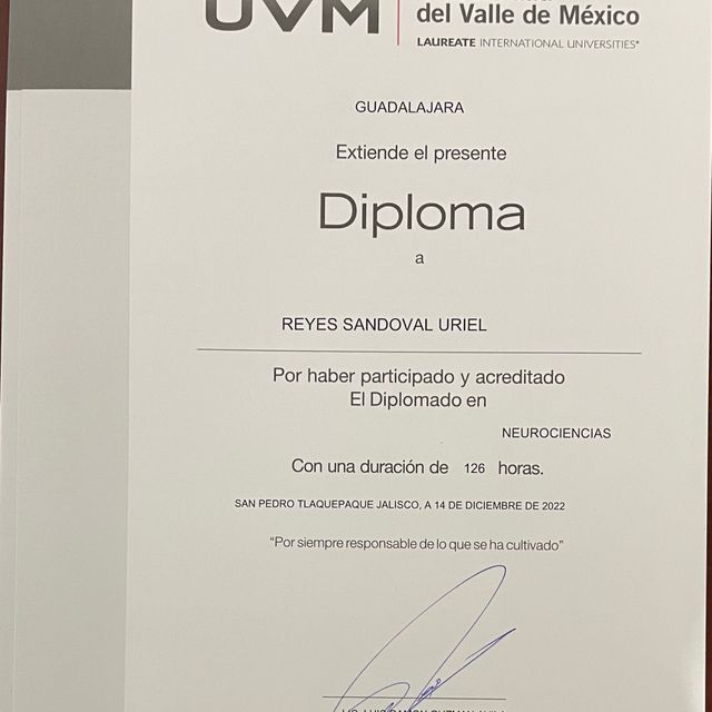 Ampliar imagen: certificate 2