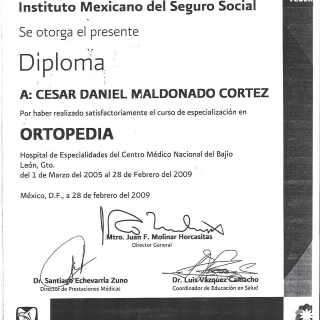 Ampliar imagen: certificate 2
