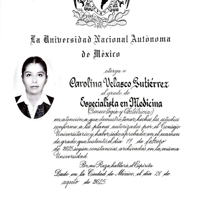 Ampliar imagen: certificate 2