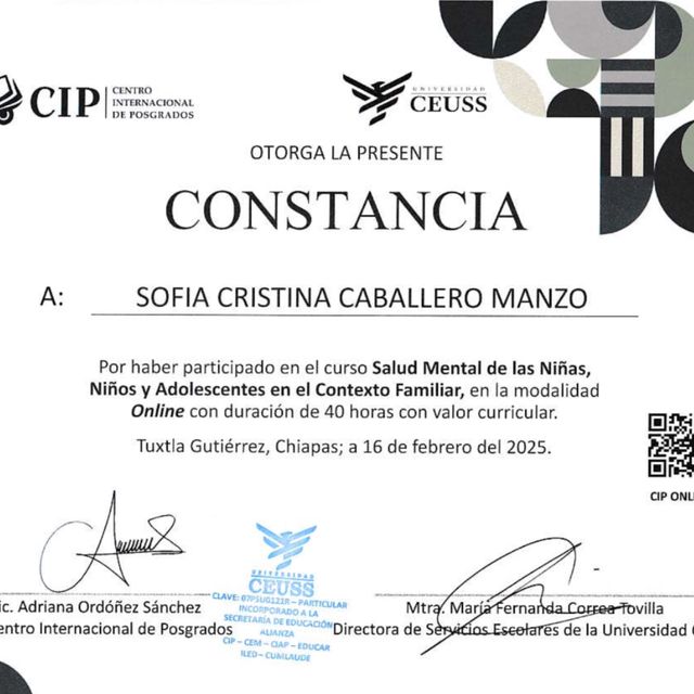 Ampliar imagen: certificate 3