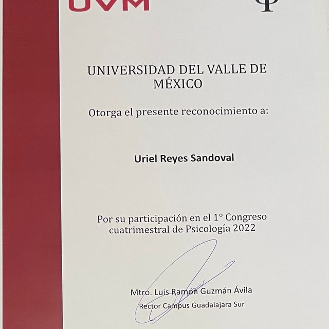 Ampliar imagen: certificate 4